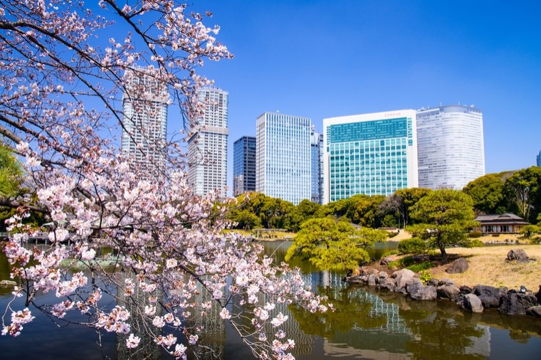 日本櫻花婚攝景點5大推介 | 附2023日本櫻花預測：大阪、東京、京都等滿開資訊